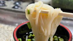 西予市・名水亭の観音水そうめん流しでそうめんを味わう様子