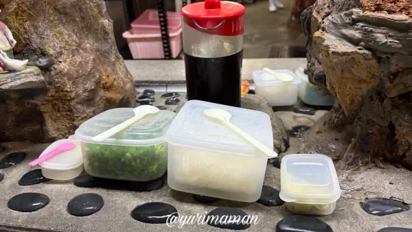 名水亭そうめん流しの薬味(ネギ・玉ねぎ・わさび)01 - ゆりママんブログ 名水亭そうめん流しの薬味(ネギ・玉ねぎ・わさび)01