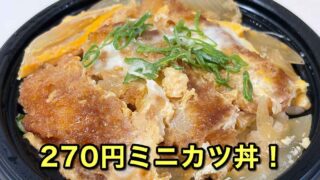 スーパー日東土居田店で購入した270円のミニカツ丼
