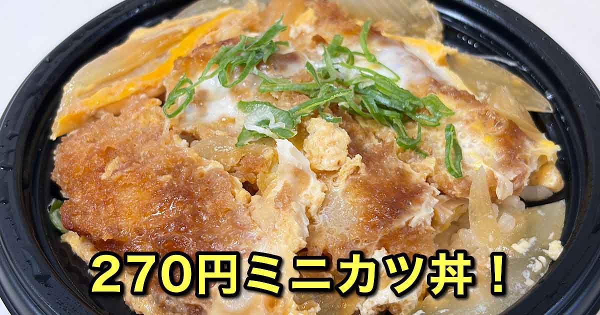スーパー日東土居田店で購入した270円のミニカツ丼