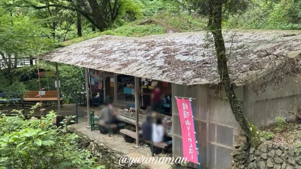 緑に囲まれた権現山そうめん流しの休憩所