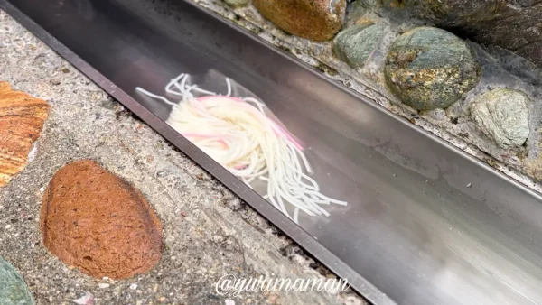 権現山そうめん流しの流れて来るそうめん - ゆりママんブログ 権現山そうめん流しの流れて来るそうめん
