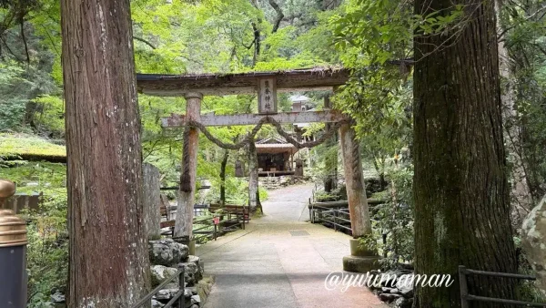 砥部町・権現山そうめん流しがある豊栄神社の鳥居 - ゆりママんブログ 砥部町・権現山そうめん流しがある豊栄神社の鳥居