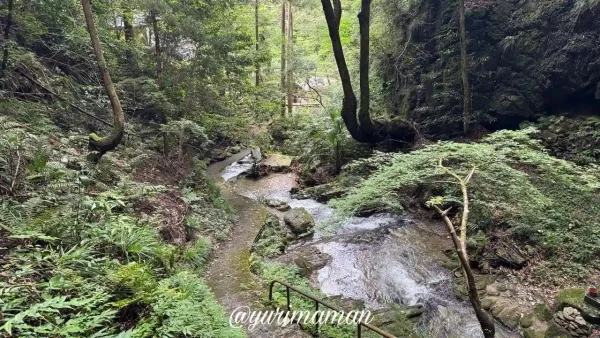 権現山そうめん流しの近くにある滝周辺