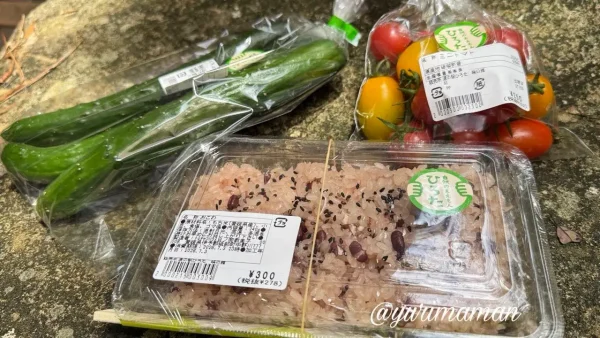 道の駅ひろたで購入したきゅうりやミニトマトとおこわ