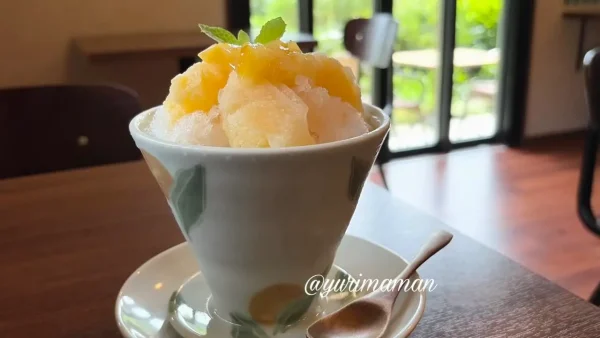 もえぎのの河内晩柑と梅シロップのかき氷