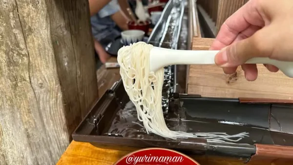 坪内家流しそうめん（砥部町）そうめんをつかんが様子