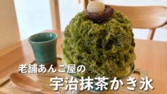 Large bowl of green matcha shaved ice topped with red bean paste and a white mochi on top, on a wooden table