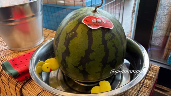 焼肉五苑ガチャ祭の特賞景品・丸ごと1玉のスイカ - ゆりママんブログ 焼肉五苑ガチャ祭の特賞景品・丸ごと1玉のスイカ
