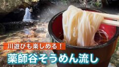 宇和島市の薬師谷そうめん流し近くで楽しめる川遊び