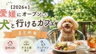 愛媛県で2026年にオープンした犬と行けるカフェのイメージ - ゆりママんブログ 愛媛県で2026年にオープンした犬と行けるカフェのイメージ