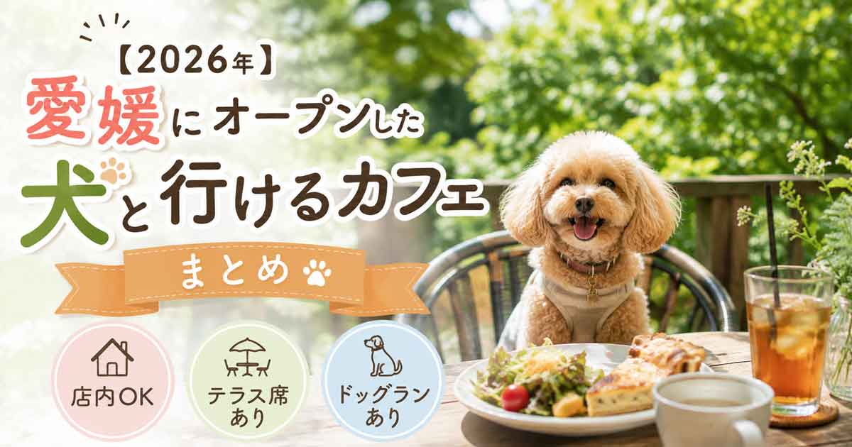 愛媛県で2026年にオープンした犬と行けるカフェのイメージ
