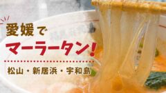 愛媛のマーラータン｜松山・新居浜・宇和島で食べ歩き