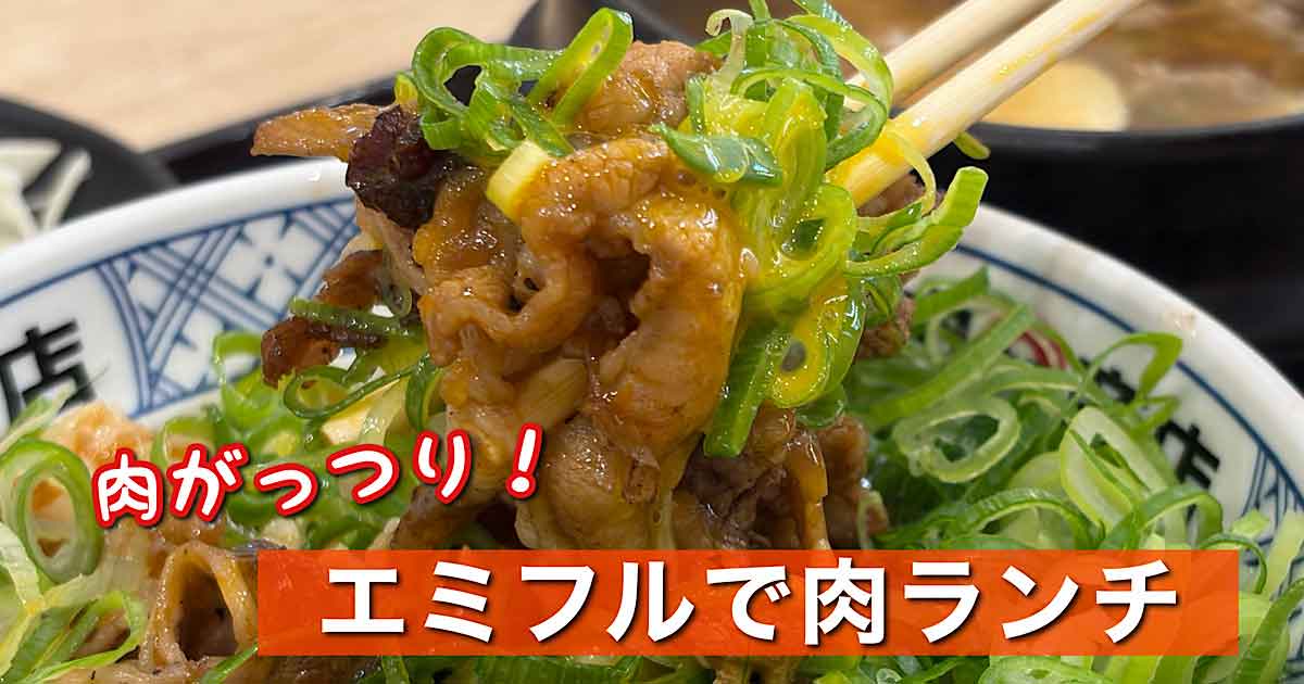 エミフルMASAKI肉丸商店のねぎたま牛カルビ丼と肉吸いの肉丸セット