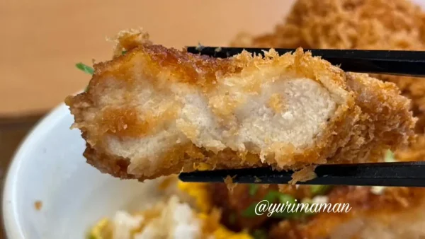 ガスト食堂のチキンカツの断面 - ゆりママんブログ ガスト食堂のチキンカツの断面