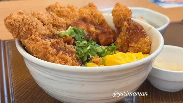 ガスト食堂のチキンカツ玉子丼のはみ出るボリューム - ゆりママんブログ ガスト食堂のチキンカツ玉子丼のはみ出るボリューム