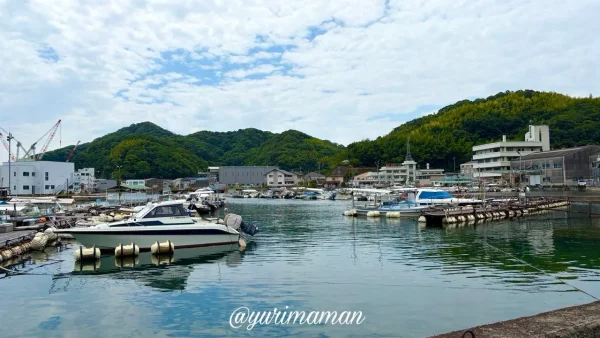 伯方島の港に停泊する船と海の風景