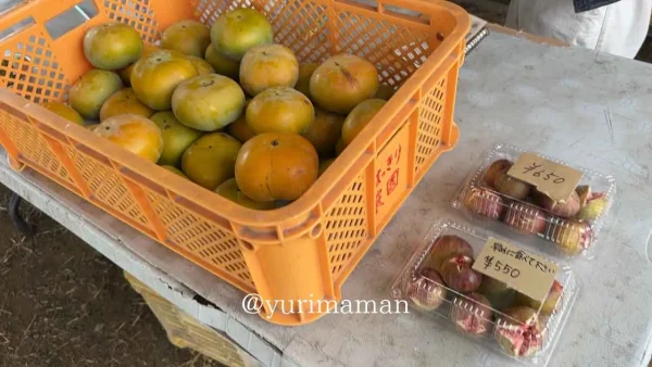 はっきり農園で直売されている柿といちじく - ゆりママんブログ はっきり農園で直売されている柿といちじく