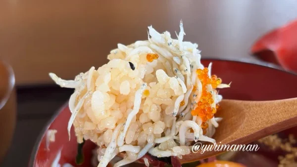 宇和島の漁師めし「ひぶりめし」海鮮たっぷりの丼03