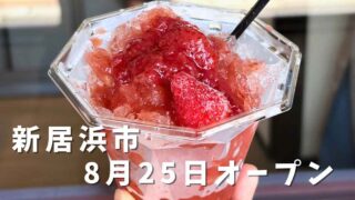新居浜市hinata branchの果肉ごろごろいちごかき氷