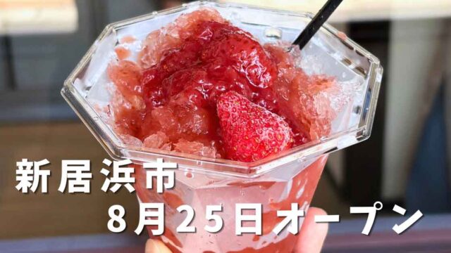 新居浜市hinata branchの果肉ごろごろいちごかき氷