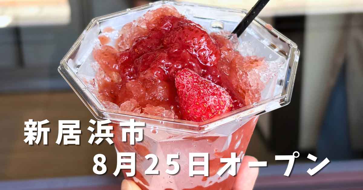 新居浜市hinata branchの果肉ごろごろいちごかき氷
