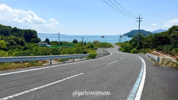 大三島のヒャッホー坂から瀬戸内海へ続くように見える坂道01 - ゆりママんブログ 大三島のヒャッホー坂から瀬戸内海へ続くように見える坂道01