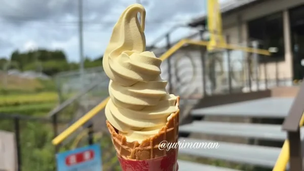 道の駅なかやまの栗ソフトクリーム - ゆりママんブログ 道の駅なかやまの栗ソフトクリーム