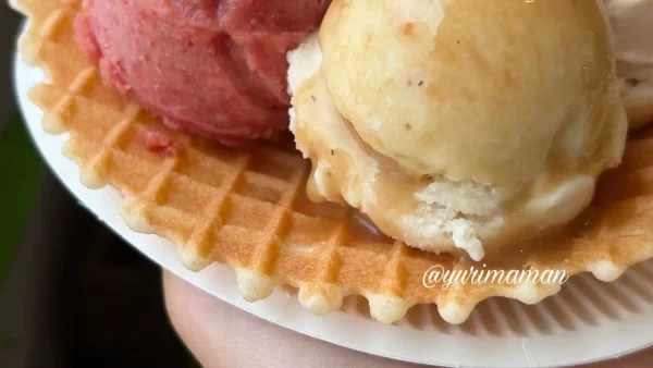 LEPONT4èの米粉の手焼きコーンとクラフトアイス - ゆりママんブログ LEPONT4èの米粉の手焼きコーンとクラフトアイス