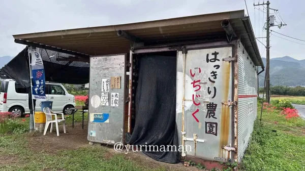 西条市丹原町のはっきり農園・果物直売所 - ゆりママんブログ 西条市丹原町のはっきり農園・果物直売所