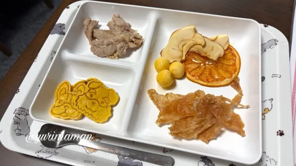 P.P cafeのワンちゃん専用ランチプレート - ゆりママんブログ P.P cafeのワンちゃん専用ランチプレート