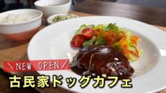 西条市のP.P cafeで味わえる煮込みハンバーグランチとドッグカフェの店内