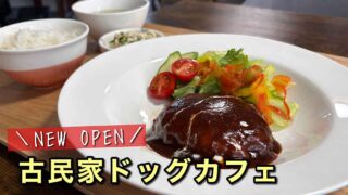 西条市のP.P cafeで味わえる煮込みハンバーグランチとドッグカフェの店内 - ゆりママんブログ 西条市のP.P cafeで味わえる煮込みハンバーグランチとドッグカフェの店内