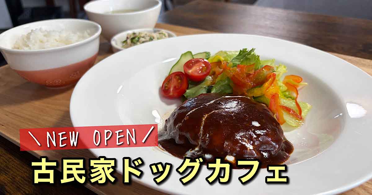 西条市のP.P cafeで味わえる煮込みハンバーグランチとドッグカフェの店内
