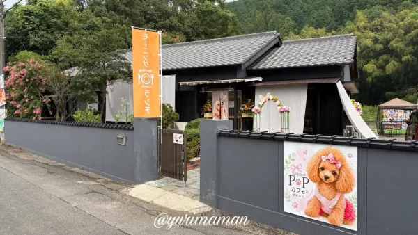 西条市にオープンしたドッグカフェ「P.P cafe」の外観 - ゆりママんブログ 西条市にオープンしたドッグカフェ「P.P cafe」の外観