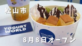松山・大街道に四国初オープンしたヨーグルトワールドのヨーグルトアイス