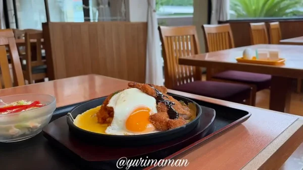 薄いたまごとケチャップライスのポークカツオムライス03