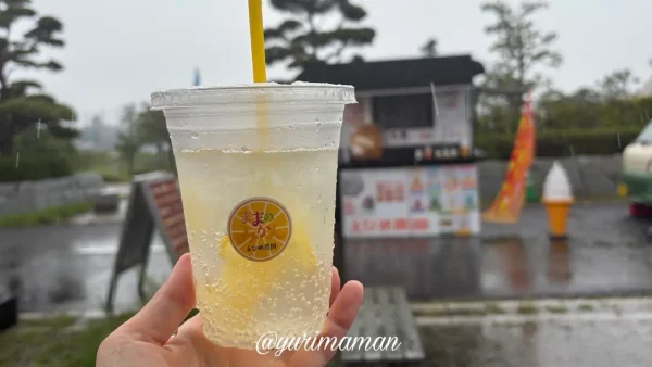 えひめ農園の愛媛みかんジュース