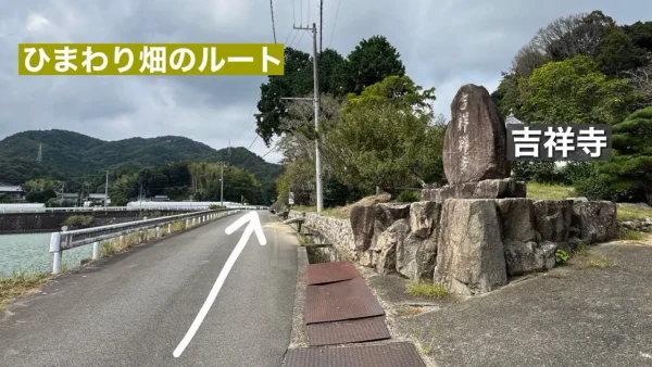 ひまわり畑へのアクセス(今治市新谷・吉祥寺近く)