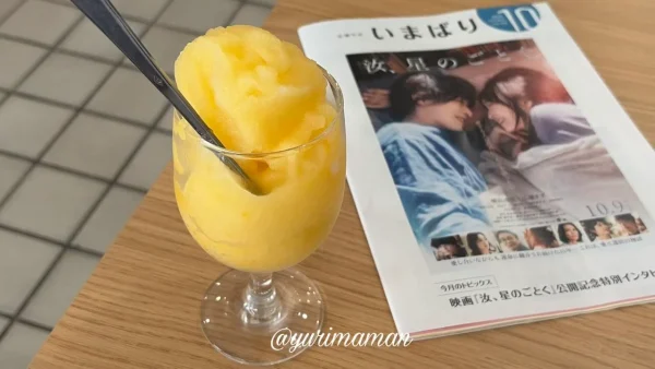 今治市の玉屋サントノーレのいよかんと市報