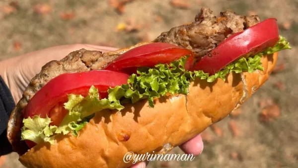 愛媛県産野菜を使った今屋のトマトレタスバーガー01