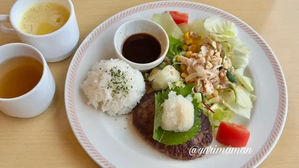 ジョイフル水曜日のカフェプレートランチ・和風ハンバーグ&蒸し鶏サラダ02