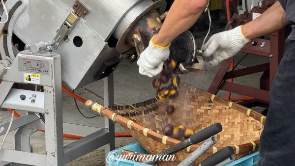 なかやま栗センターで焼き上がった栗が機械から出てくる様子