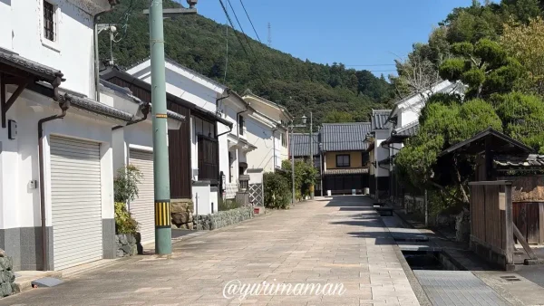大洲市のおはなはん通りに残る白壁の町並み