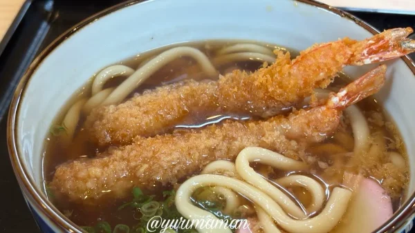 海老天2本がのった津島つむぎやのうどん
