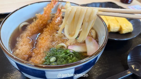 津島つむぎやのもちもち食感のうどん2