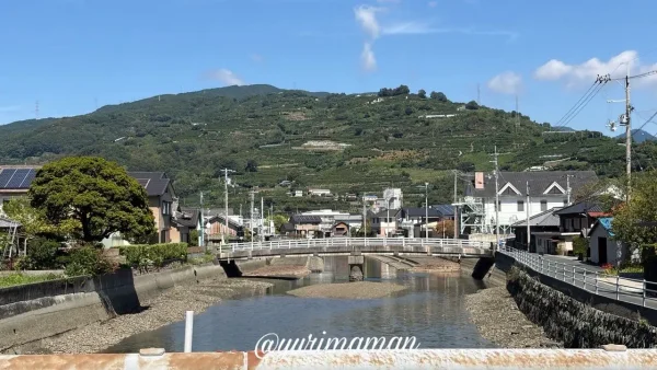 八幡浜の風景