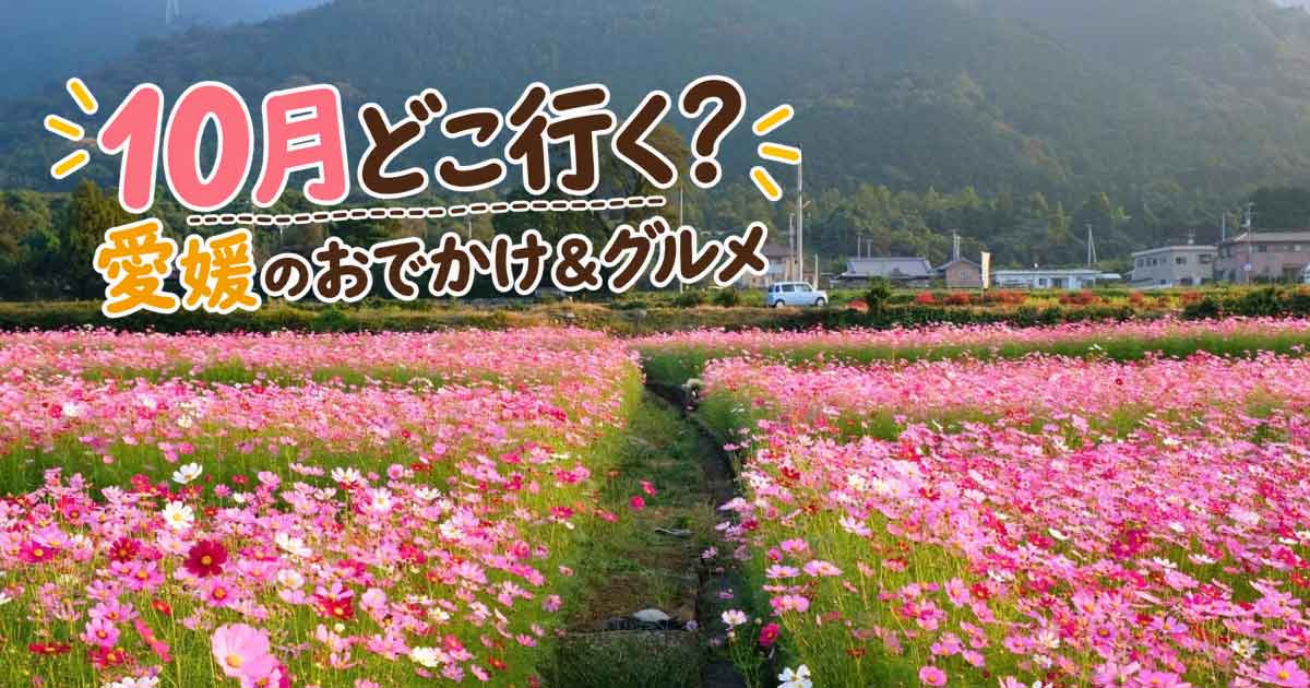 2026年10月の愛媛おでかけ・グルメまとめ