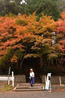 大洲市稲荷山公園の神社へ続く階段と紅葉