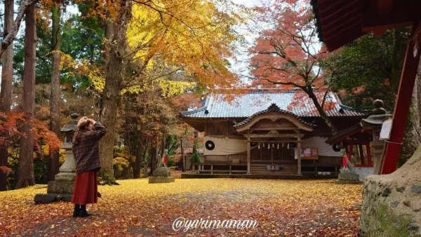 大洲市稲荷山公園の境内を彩るもみじとイチョウ